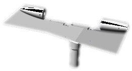 LOWER WING